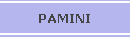 PAMINI